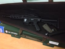 GR16 AEG(know nothing about G&G yet)